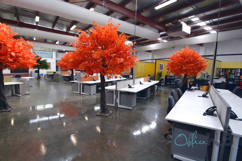 2 Person Coworking Desk