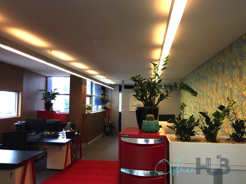 4 Person Coworking Desk