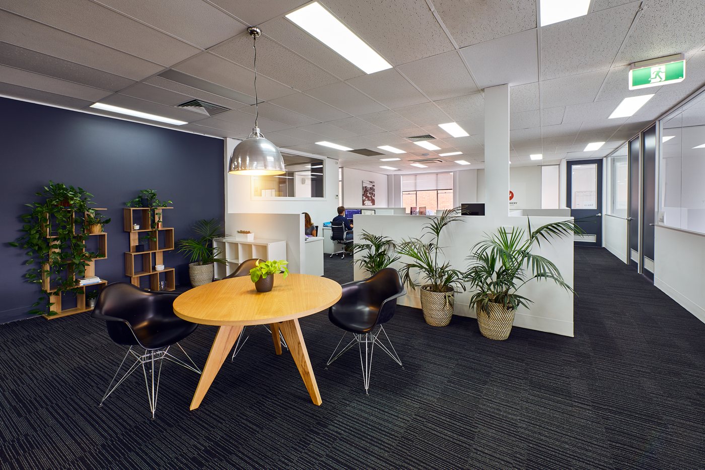 5 Person Private Office Riddell Parade, Elsternwick, VIC, 3185