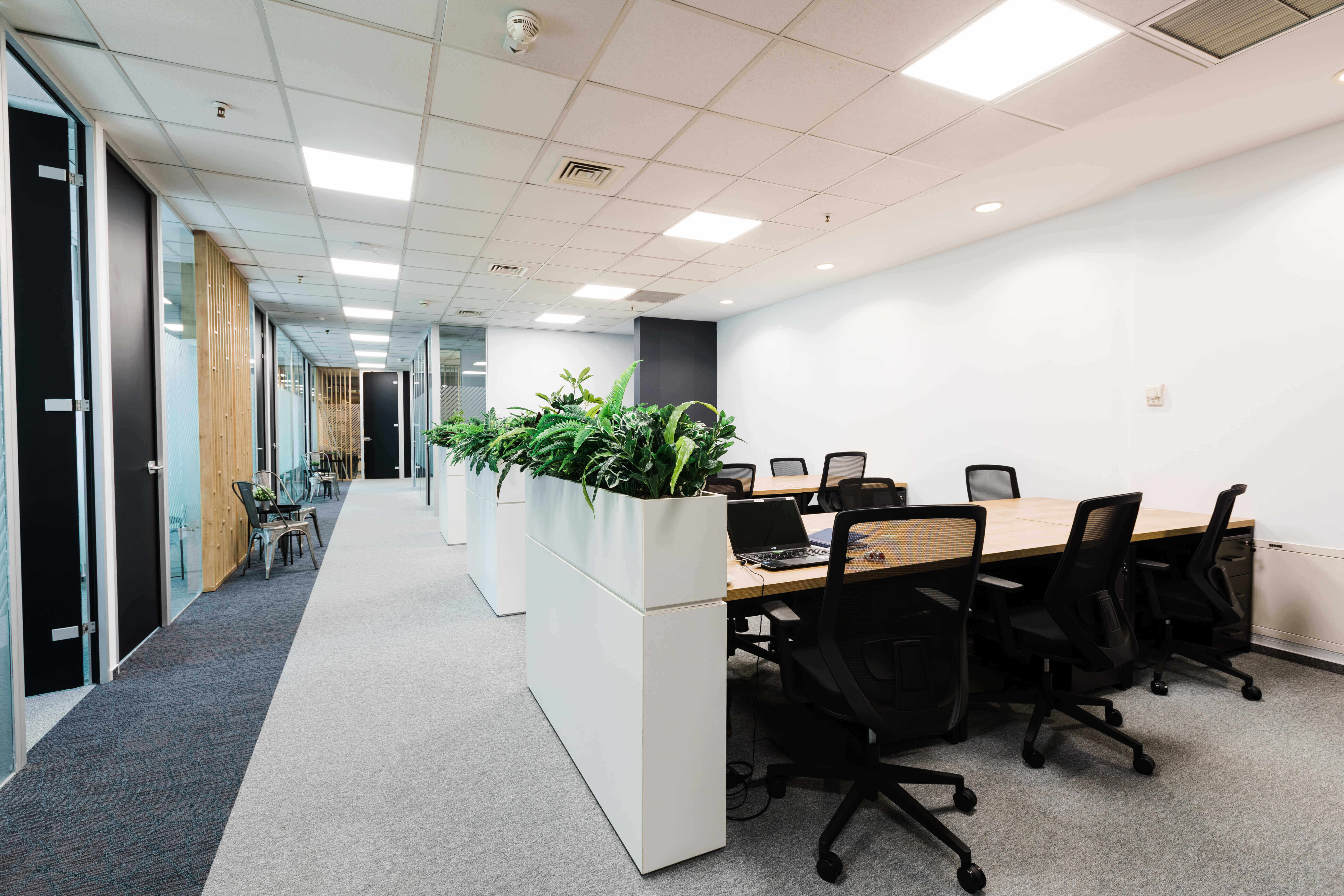 10 Person Coworking Desk
