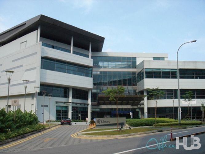 1 Person Coworking Desk