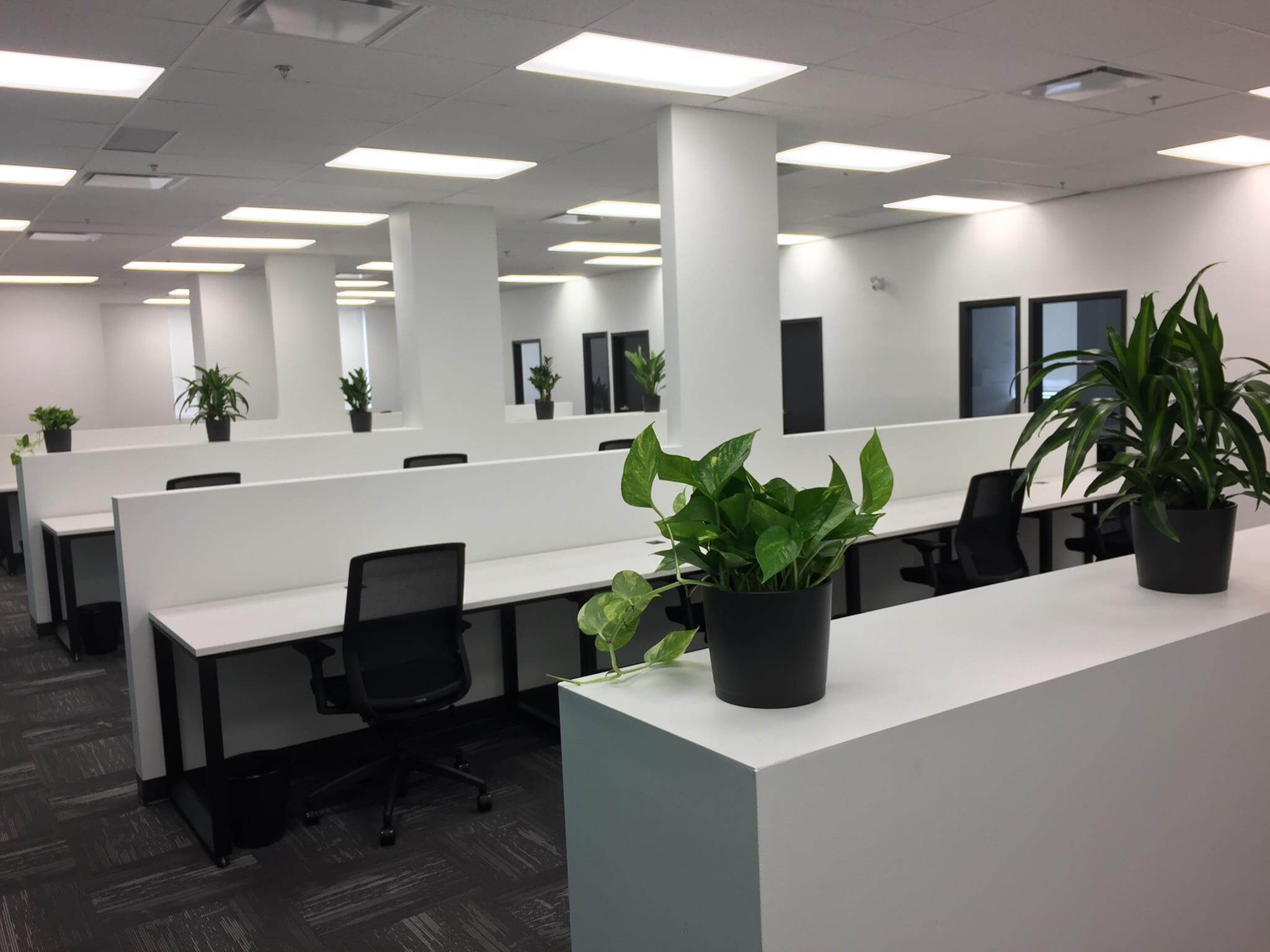 5 Person Coworking Desk