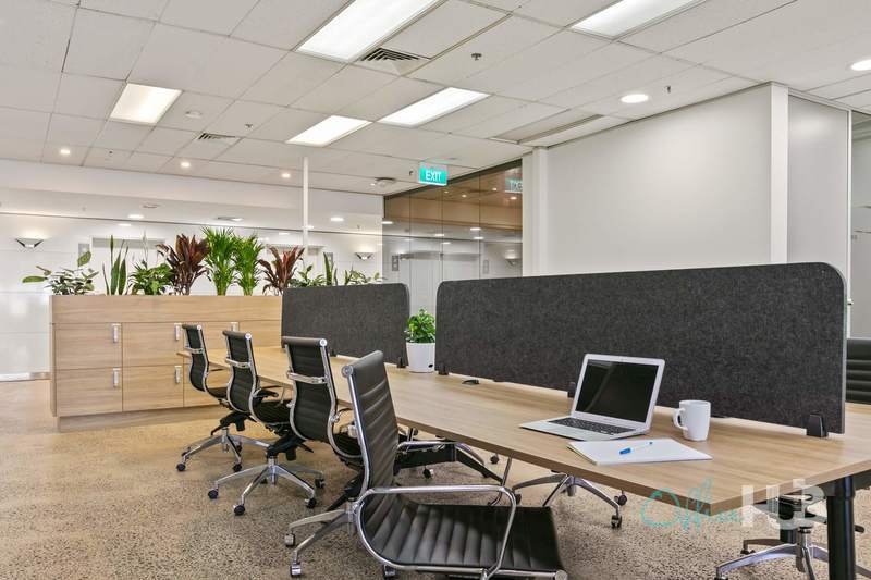 6 Person Coworking Desk