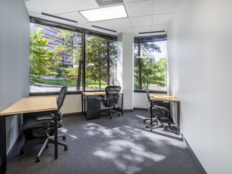 1 Person Virtual Office