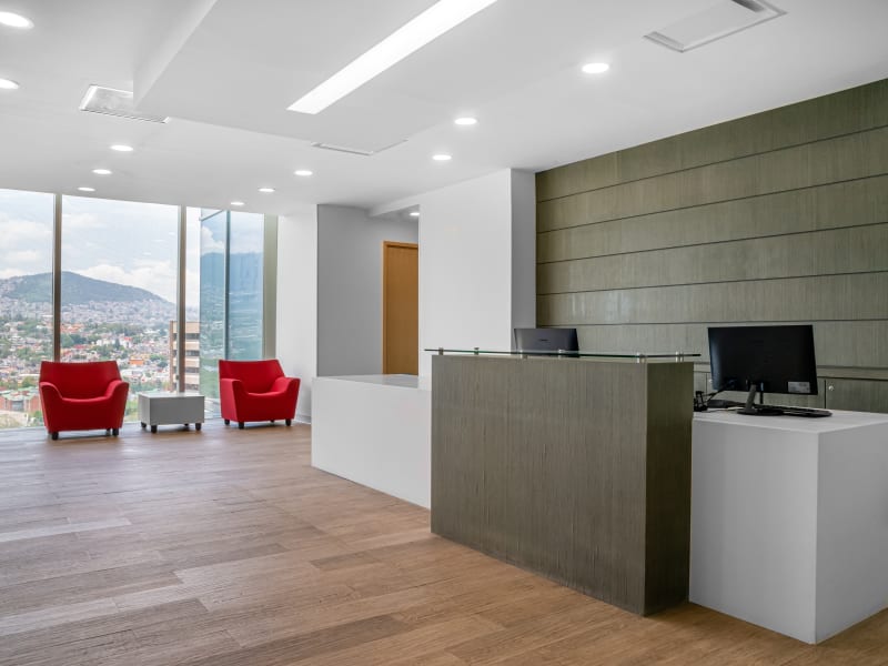 1 Person Virtual Office