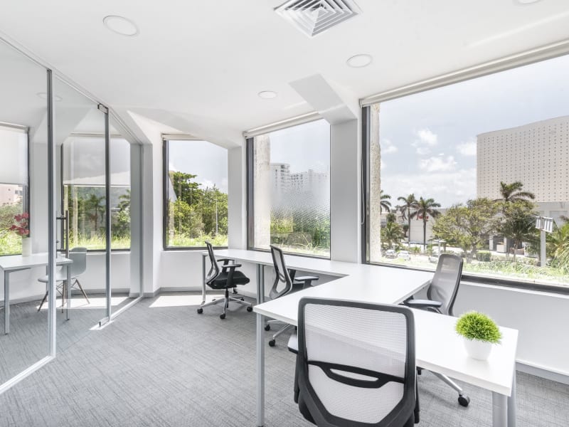 4 Person Private Office