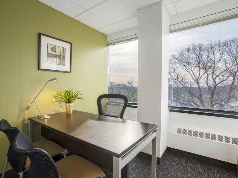 1 Person Virtual Office