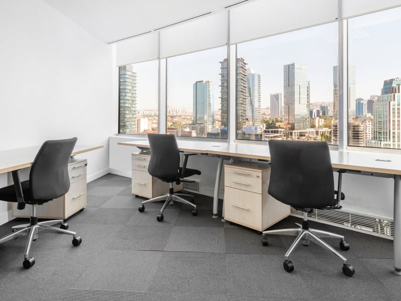 1 Person Virtual Office