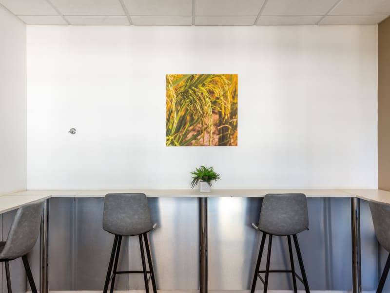 1 Person Virtual Office