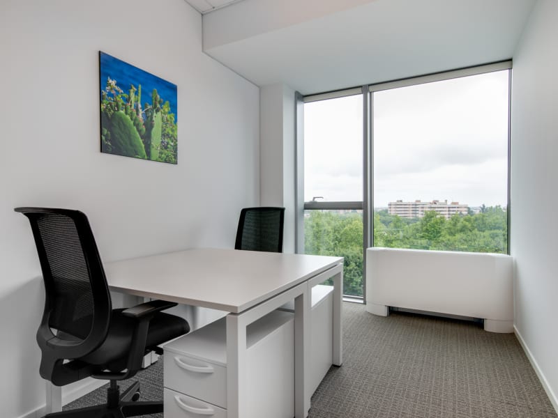 1 Person Virtual Office