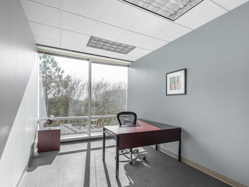 1 Person Virtual Office