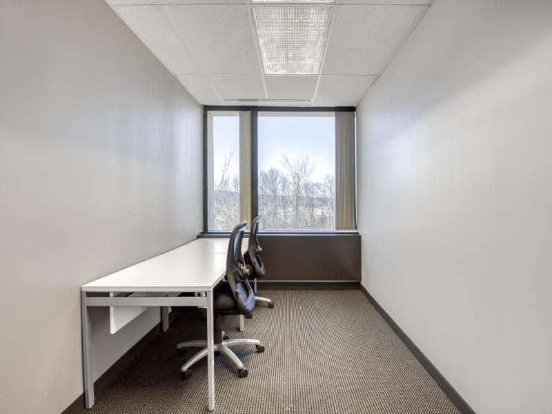 1 Person Virtual Office