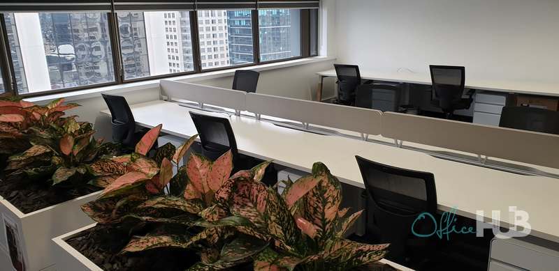 6 Person Shared Office