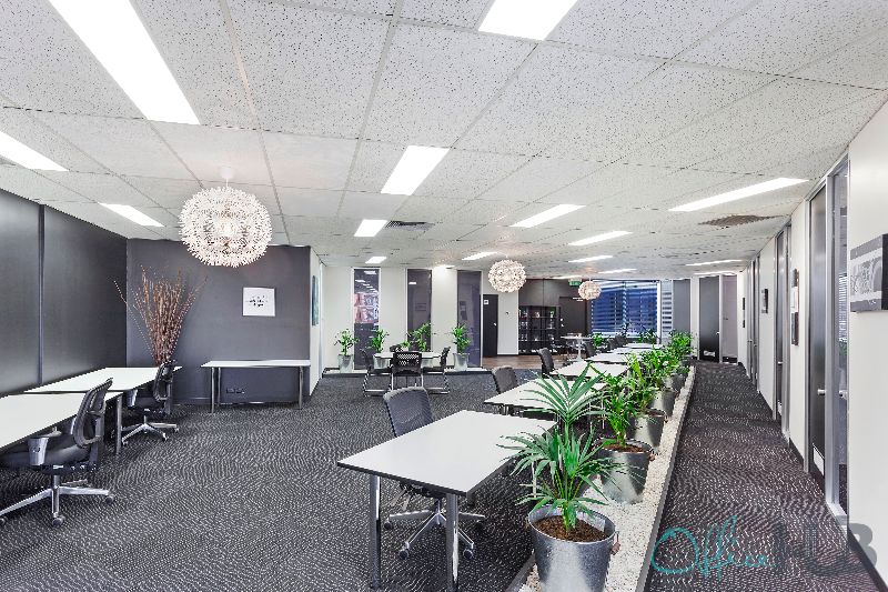 6 Person Coworking Desk